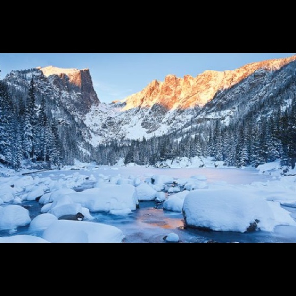 Meet your Posher, Mickey